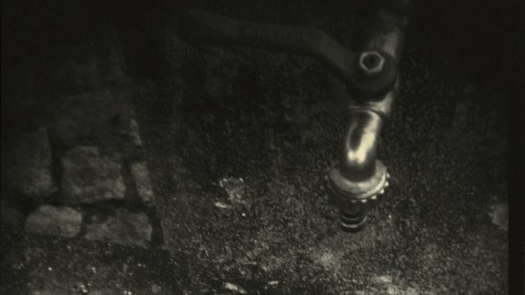 Noite Cheia: Visita Guiada, Concerto, Gastronomia, Música Projectada