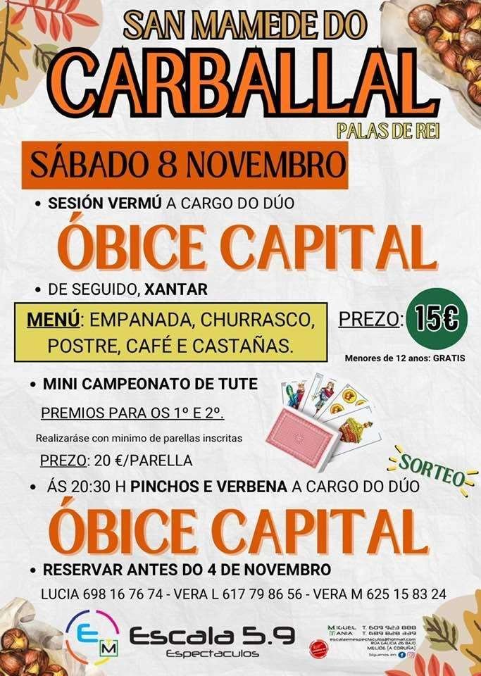 MAGOSTO POPULAR 2025 | SAN MAMEDE DO CARBALLAL