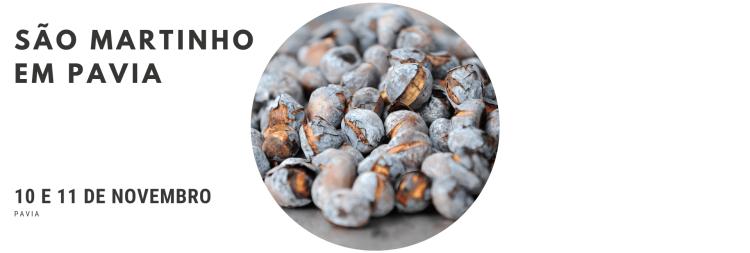 São Martinho em Pavia