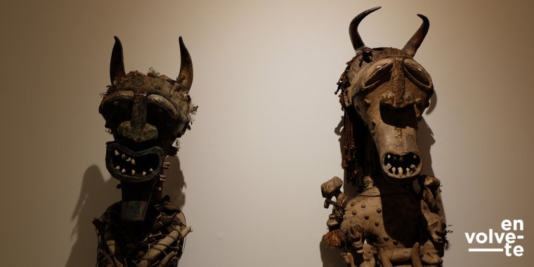 OLHARES SOBRE... O colecionador e a coleção