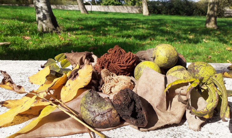 Visita a’O Chão das Artes – Jardim Botânico