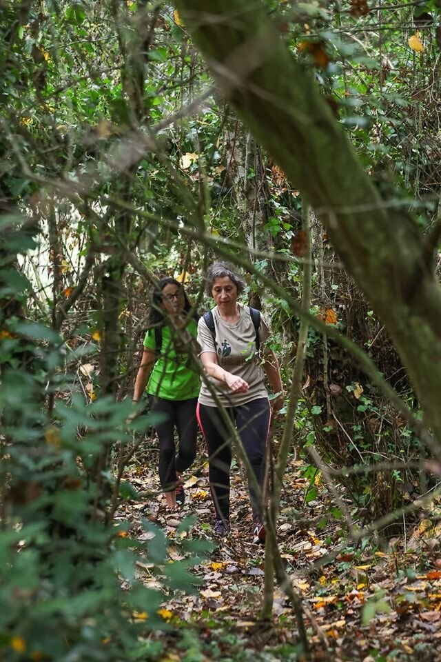 Percurso Pedestre da Rota das Barragens do Nicho