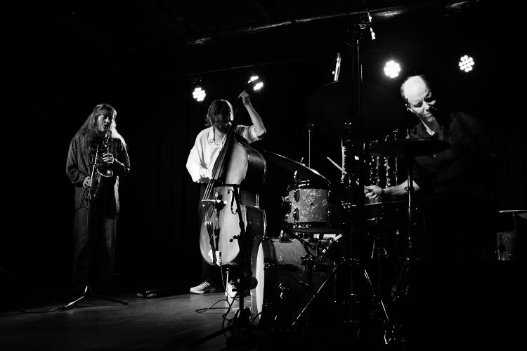 Projeto Sonoscopia / Guimarães JazzTrio Kvelvane – Østvang – Vermeulen