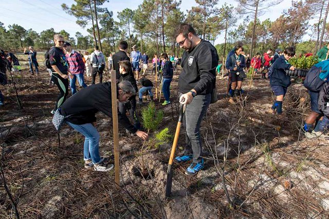 Dia da Floresta Autóctone 2025