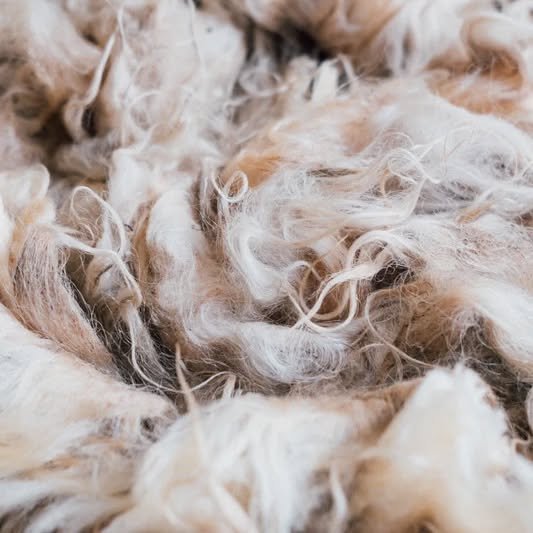 Em Família no Museu Oficina “Percurso da lã – histórias enleadas, contador de histórias + oficina de