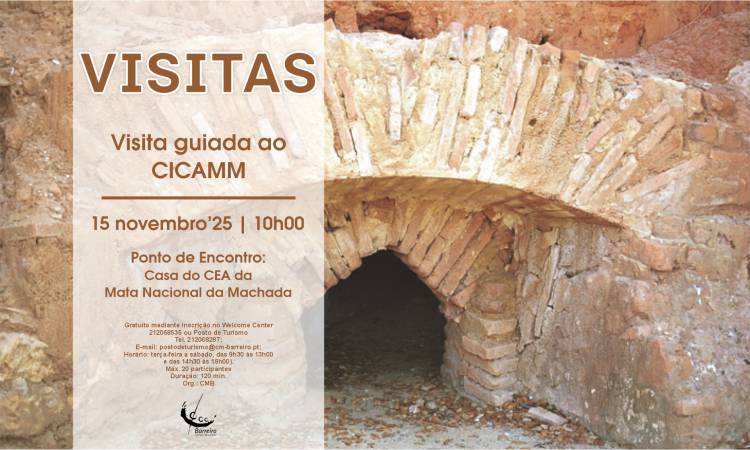 Visita guiada ao CICAMM 