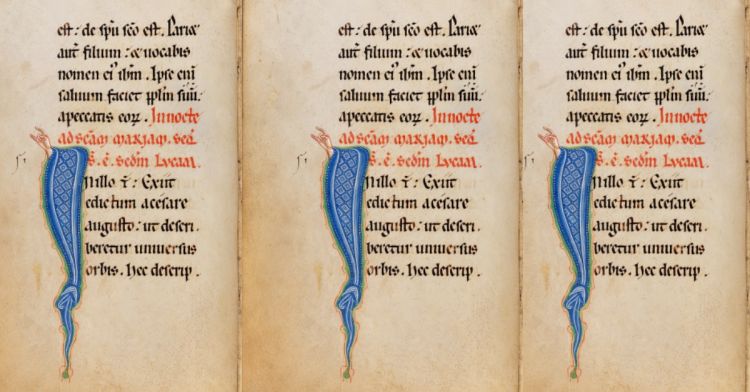 (IR)REGULARIDADES — PERSCRUTAÇÕES… OS TESOUROS DA BIBLIOTECA PÚBLICA MUNICIPAL DO PORTO