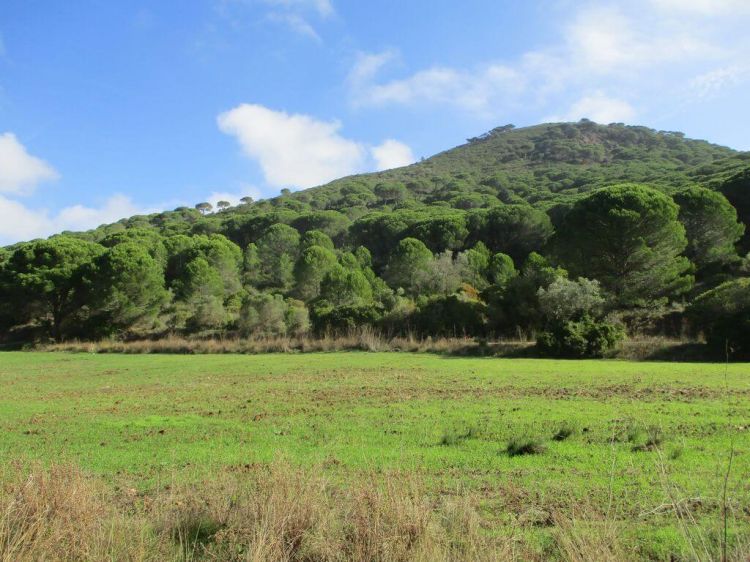 Grandes Caminhadas - Louro, Gaiteiros e São Luís - 28kms