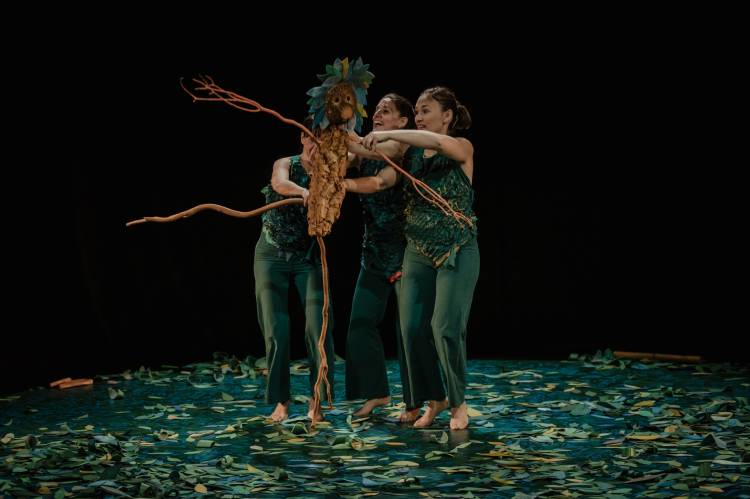 SOTOBOSQUE a vida debaixo das árvores | FINTA