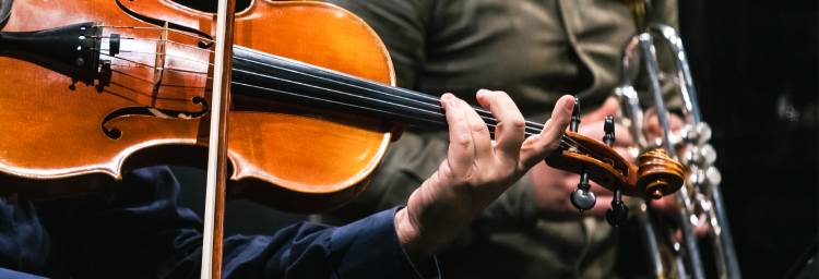 Peixinho é fixe! [mediação cultural]