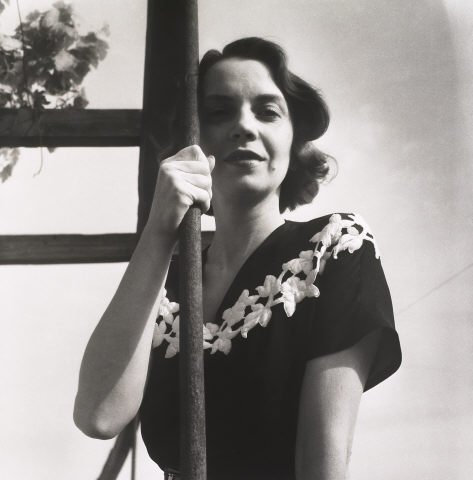 CLUBE DE LEITURA SÉNIOR — «HISTÓRIA DA GATA BORRALHEIRA», EM «CONTOS DA TERRA E DO MAR», DE SOPHIA DE MELLO BREYNER ANDRESEN