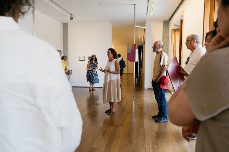VISITA GUIADA À EXPOSIÇÃO 'Mapeando o que não se vê' com a curadora Luíza Teixeira de Freitas