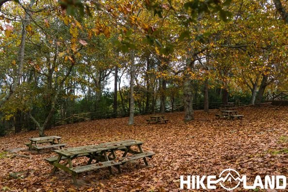Cores de Outono: Mata Nacional do Vimeiro | Alcobaça