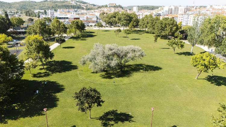 Trilhos da Floresta | Caminhada pelas Florestas de Torres Vedras