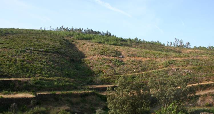 Sessão de Esclarecimento – Pequenos Investimentos Agrícolas