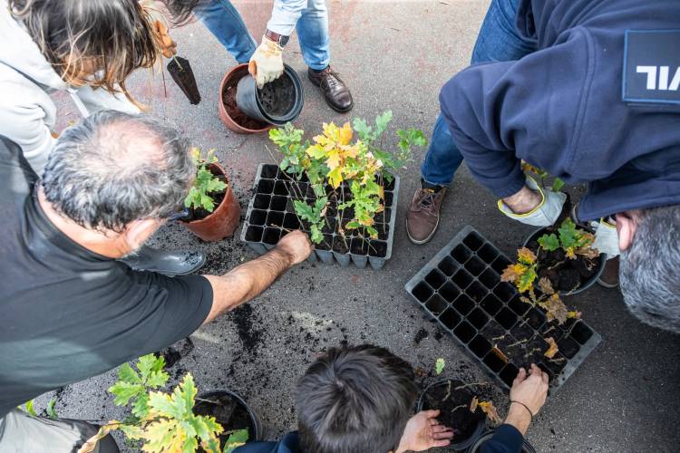BoCA ● A Defesa da Natureza em Braga 