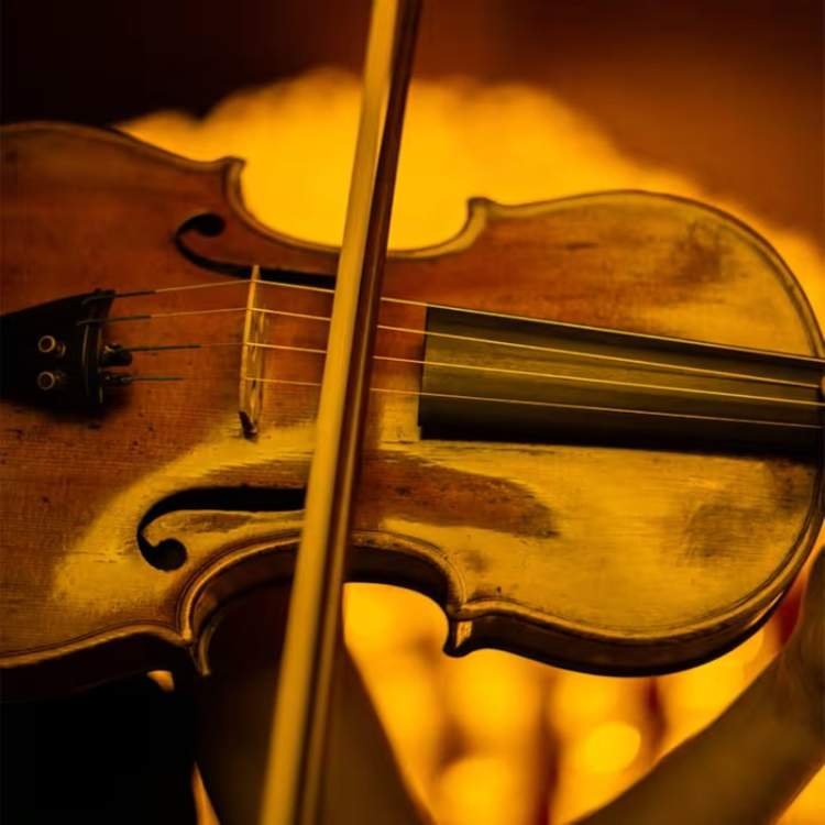 TRIBUTO A QUEEN, CANDLELIGHT