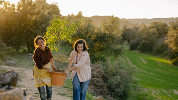 Pequenos Clarões - Pilar Palomero