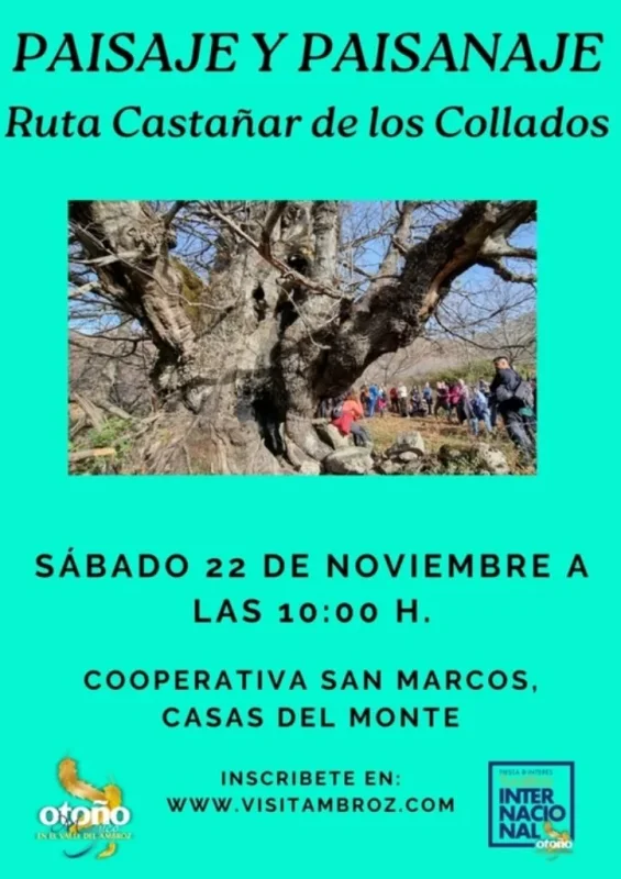 PAISAJE Y PAISANAJE | Ruta Castañar de los Collados