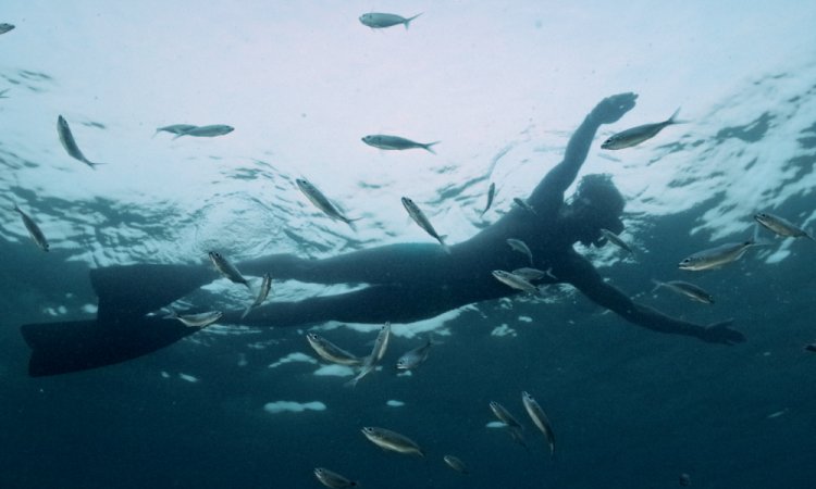 ‘Lindo’ de Margarida Gramaxo