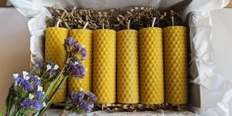 Workshop: Vela de cera de abelha