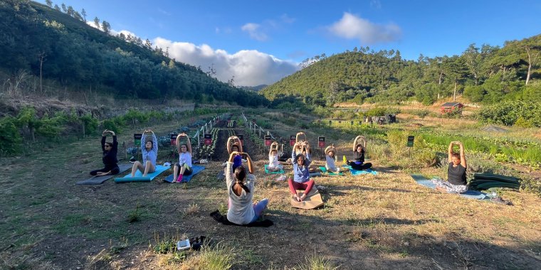 Aula de Yoga na Horta