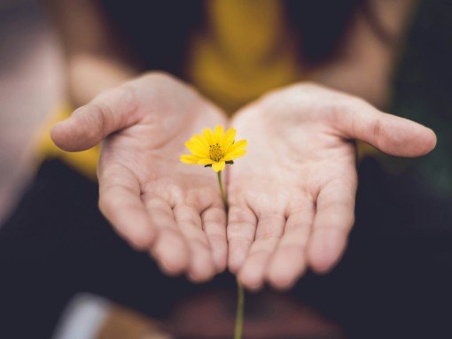 MINDFULNESS EM AÇÃO: COMPAIXÃO E EMPATIA: DOAÇÃO, com Sofia Loureiro