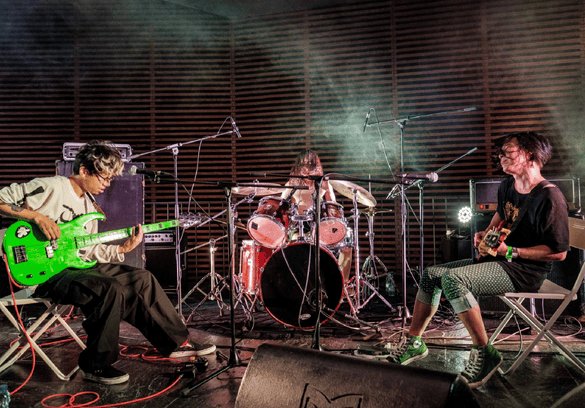 Green Milk from the Planet Orange ⟡ Ficus