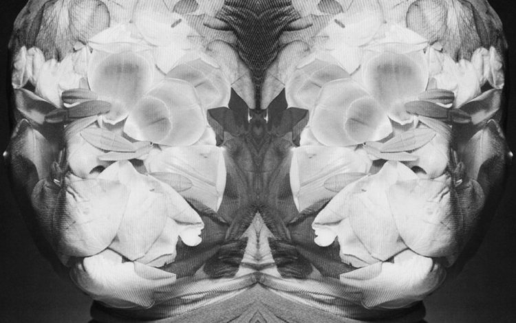 contrapeso: lea siebrecht