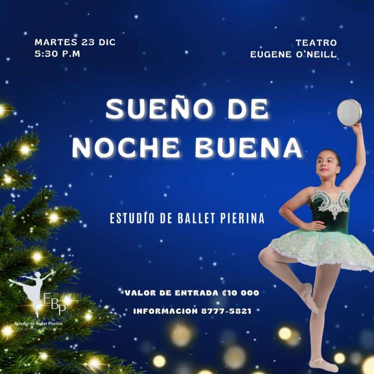 Sueño de Noche Buena