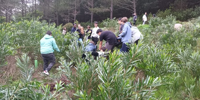Semana da Floresta Autóctone 2025