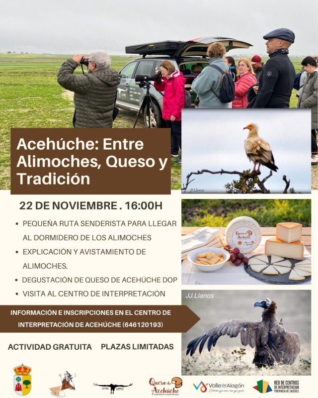 Acehúche: Entre Alimoches, Queso y Tradición