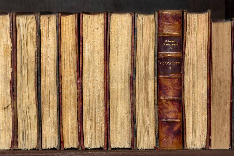 Visitas a la exposición «El mundo en un grano de arena»