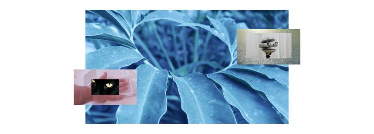 Arte contemporânea de Nuno Cera no Museu do Neo-Realismo