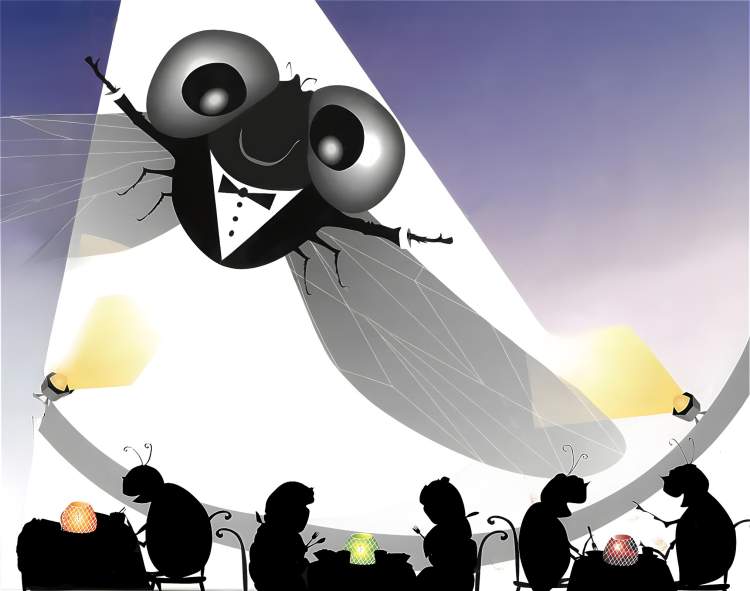 Concerto didático “A Mosca do Jazz”