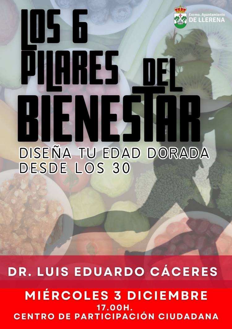 Los 6 pilares del bienestar