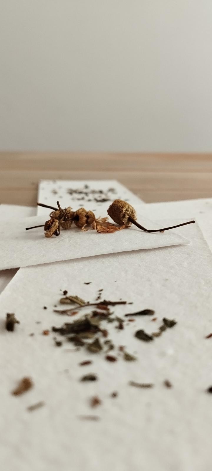 Postais con sementes: un agasallo consciente para o Nadal