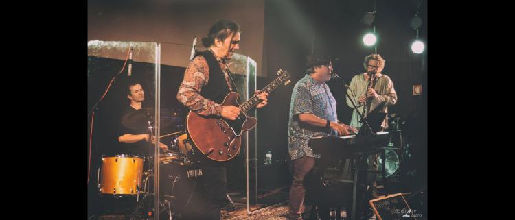 CATMAN AND THE BLUES DOOZERS