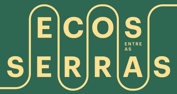 Concerto de Duo de Violinos