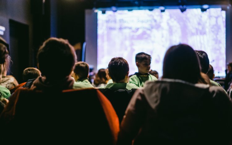 cinema play: animais gentis