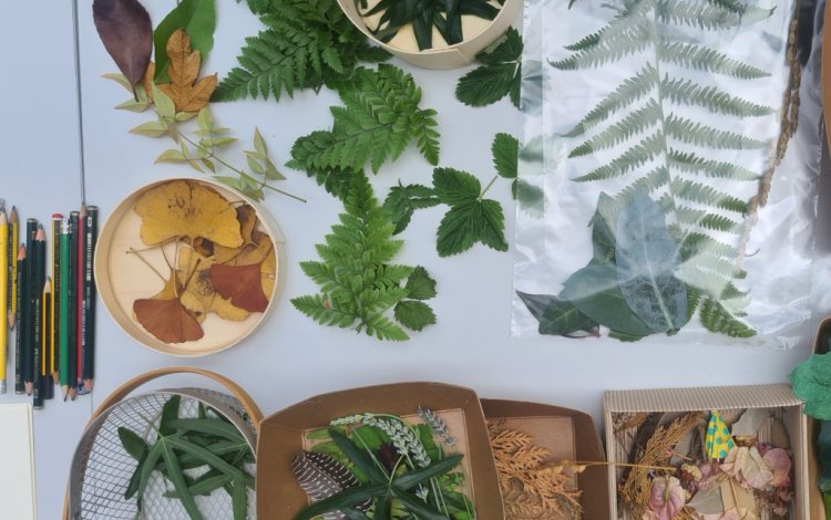 a arte é um fenómeno: imprimir natureza