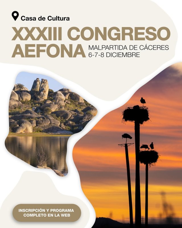 XXXIII Congreso AEFONA