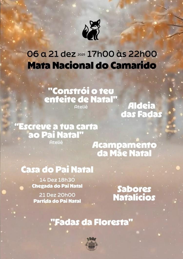 Camarilândia: Floresta Encantada