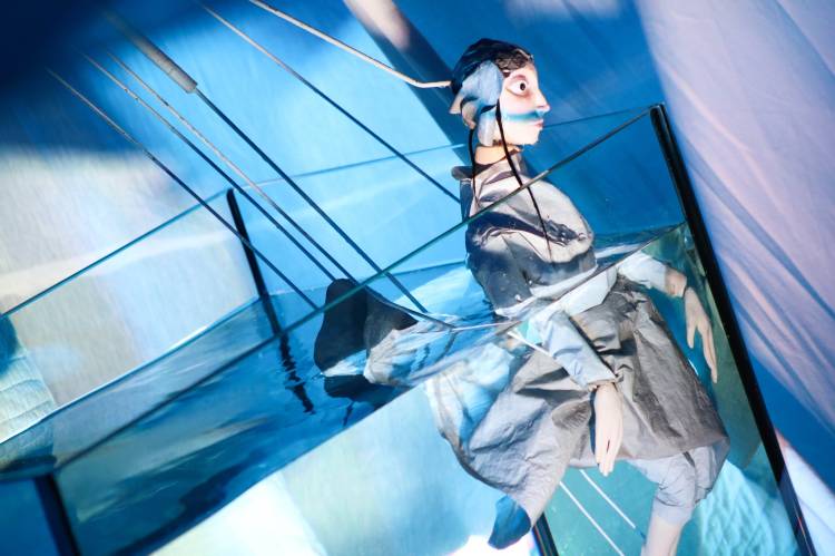  Conchas Teatro e Marionetas de Mandrágora & d´Orfeu