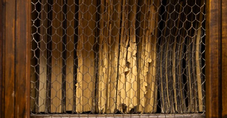 Visita temática «El mundo en un grano de arena»