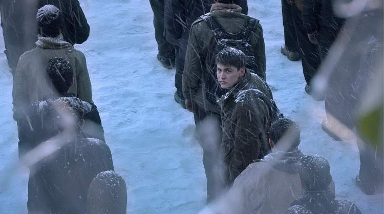 Na Terra dos Nossos Irmãos - Raha Amirfazli, Alireza Ghasemi