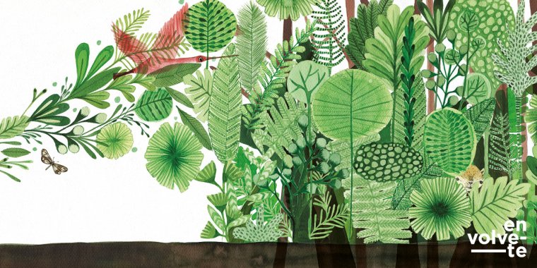 Curso de ilustração botânica no Orquidário: 'Padrões botânicos, do papel ao tecido', no Parque Marechal Carmona