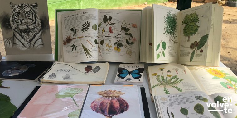 Curso de ilustração botânica no Orquidário: 'Flipbook de uma orquídea', no Parque Marechal Carmona