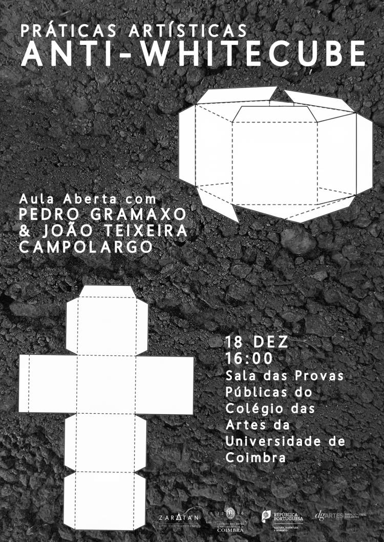 Práticas artísticas Anti-Whitecube