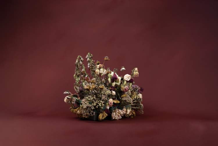 EXPOSIÇÃO CONTRANATURA